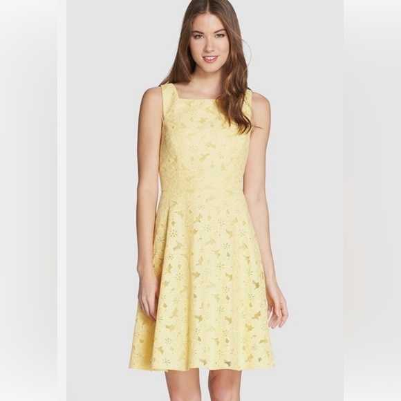 Maggy London Embroidered Cotton Blend Fit & Flare Dress - Picture 1 of 9